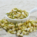 Premium Tinggi Bunga Jasmine Bunga